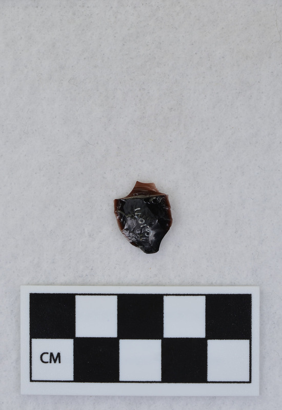 Fragment from Ce.1069