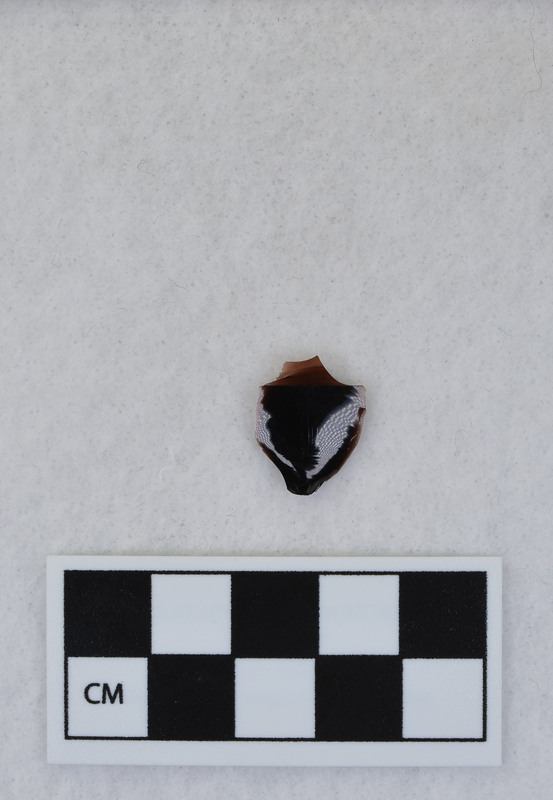 Fragment from Ce.1069