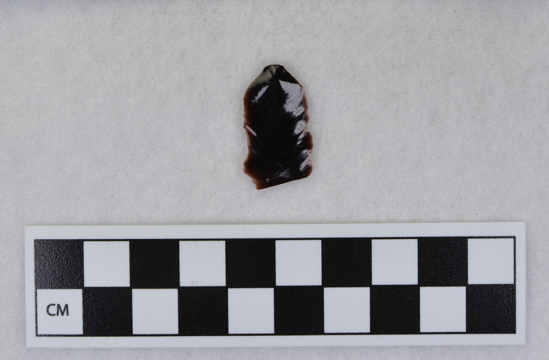 Fragment from Ce.1069