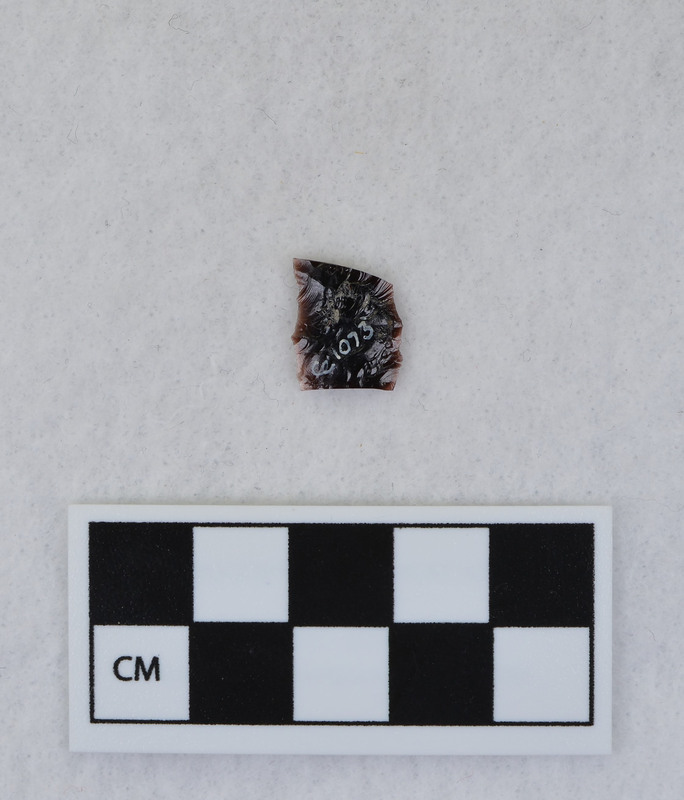 Fragment from Ce.1069