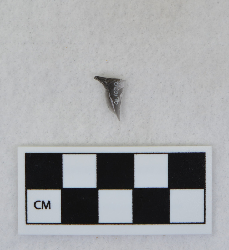 Channel, fragment, mends w/Ce.1003 and Ce.1078