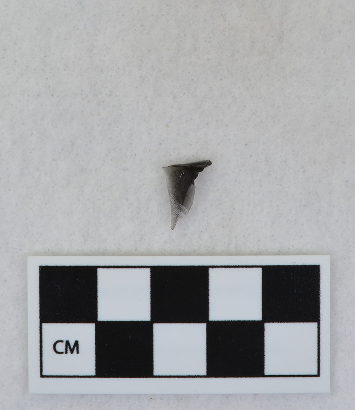 Channel, fragment, mends w/Ce.1003 and Ce.1078