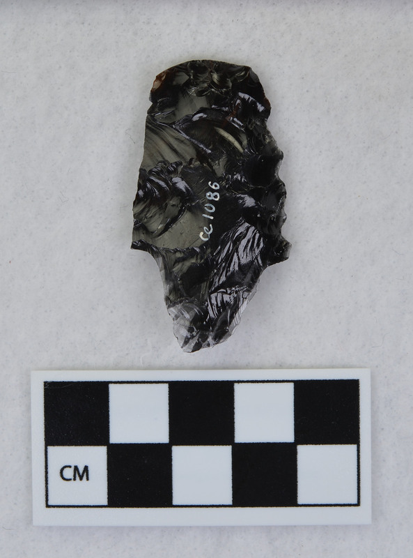 Distal end, mends w/Ce.1009