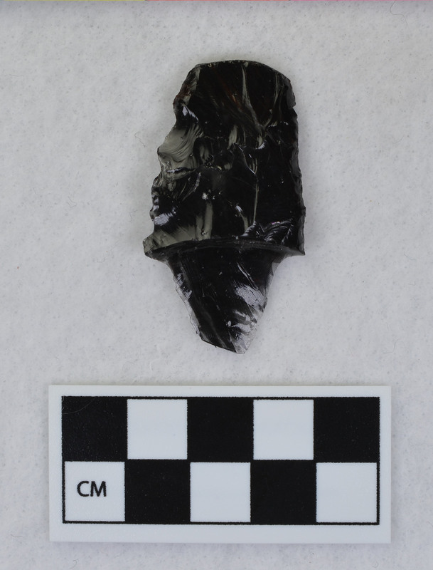 Distal end, mends w/Ce.1009