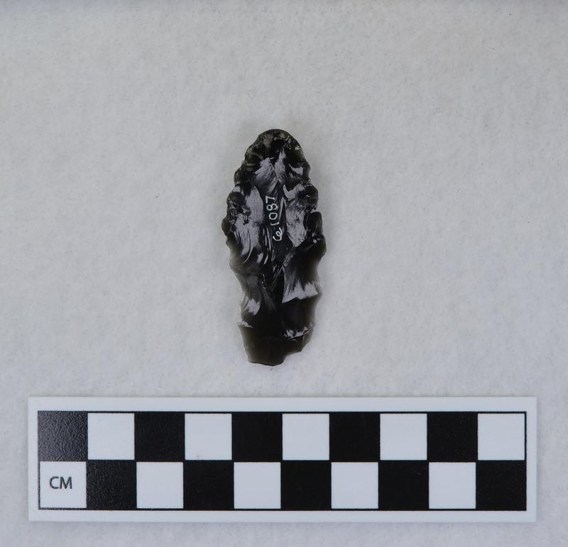 Distal end, mends w/Ce.1031, Ce.1079 and Ce.1081