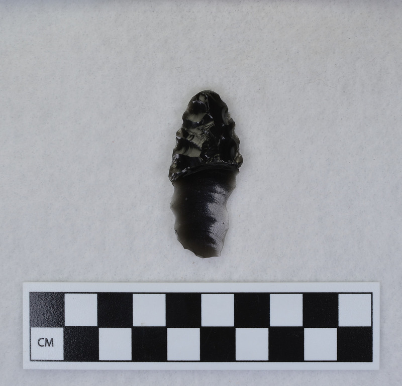 Distal end, mends w/Ce.1031, Ce.1079 and Ce.1081