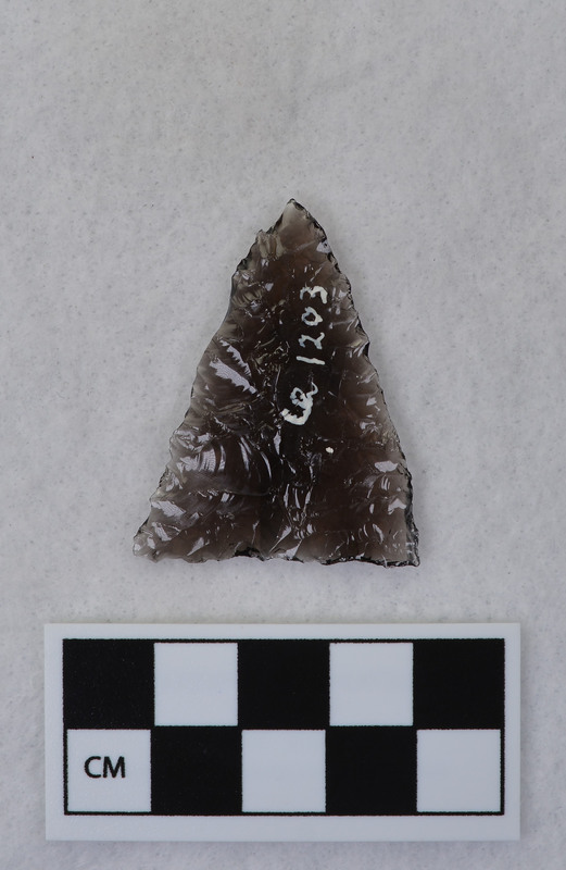 Unnotched, triangular, One outrepasse left a 90 degree edge along one margin making pressure flaking difficult. (JW)