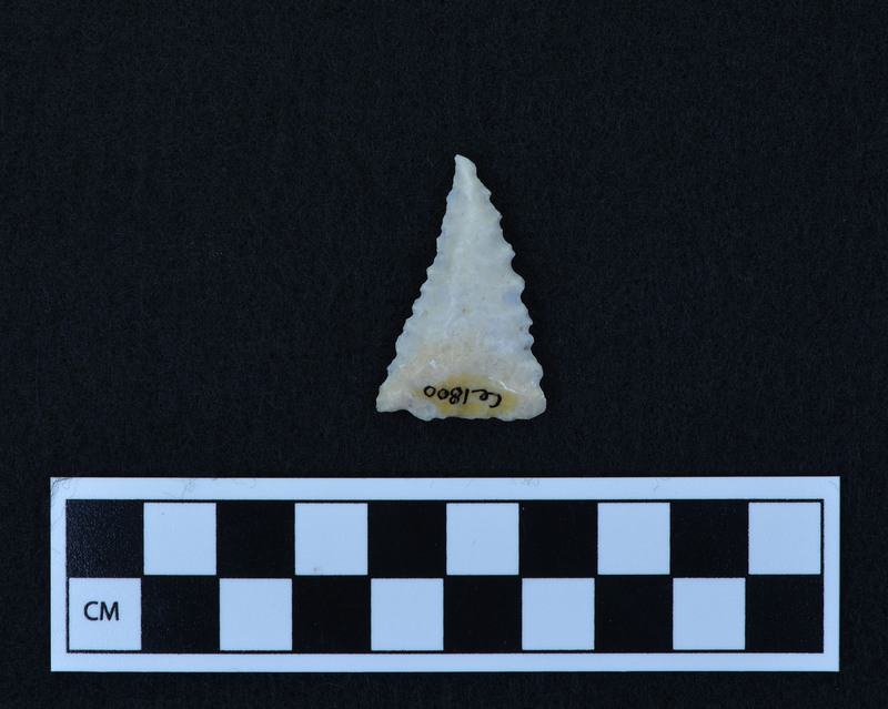 Serrated, triangular