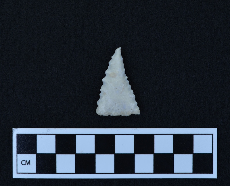 Serrated, triangular