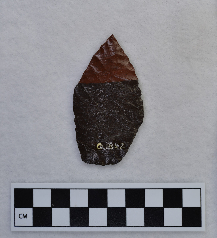 Double flow vitrophyre. (JW)