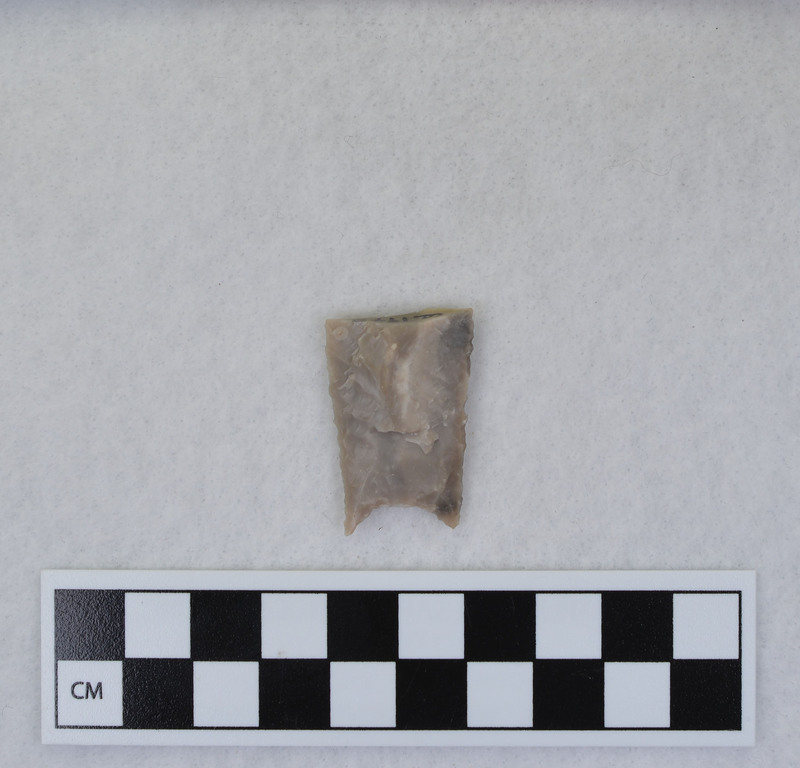 Folsom, basal section