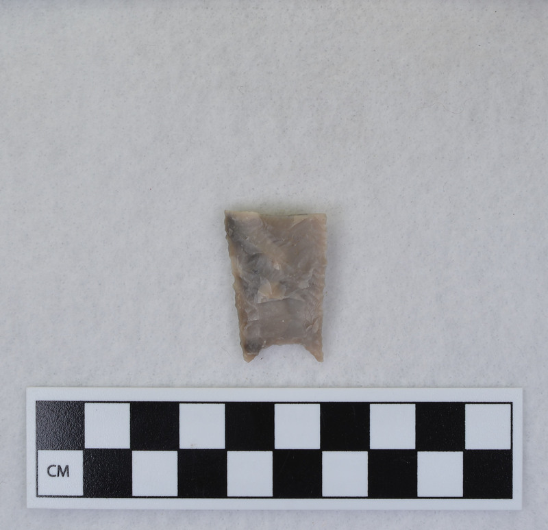 Folsom, basal section