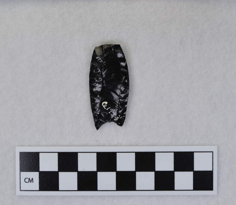 Fluted, Second flute severed the distal end due to too much downward pressure. Fluted by pressure, margins ground to facilitate holding in vise. (JW)Channel flake fragment and distal end renumbered to Ce.10137 and Ce.10138.