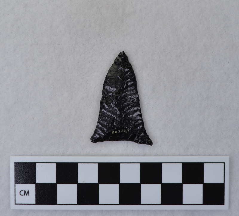 Chevron flaking, flared ears