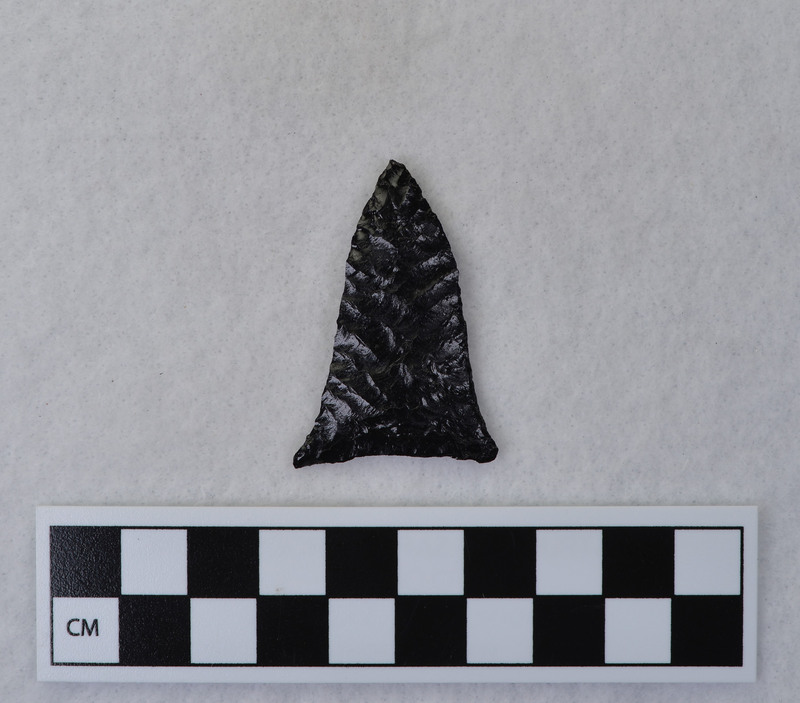 Chevron flaking, flared ears