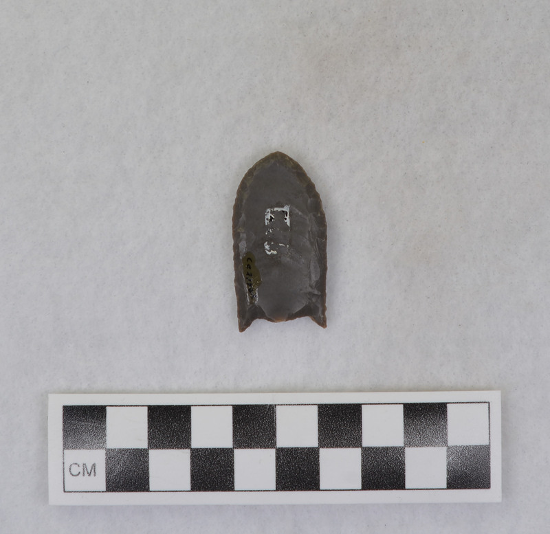 Fluted, broken, Held in vise and fluted with pressure crutch, broken because of flexing of point in vise. (GT)Ce.2794A - proximal end, Ce.2794B - distal end.