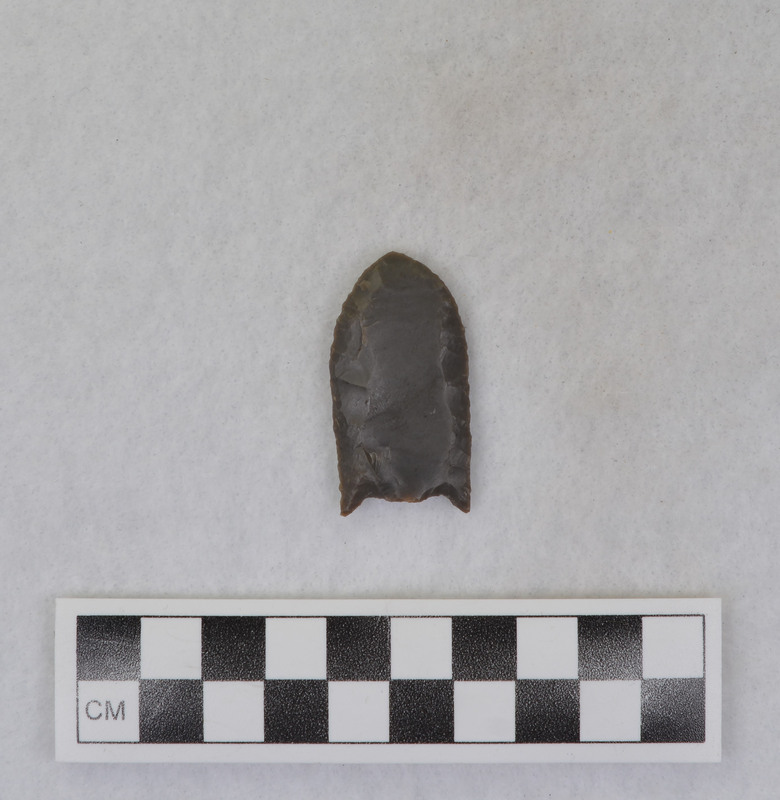 Fluted, broken, Held in vise and fluted with pressure crutch, broken because of flexing of point in vise. (GT)Ce.2794A - proximal end, Ce.2794B - distal end.