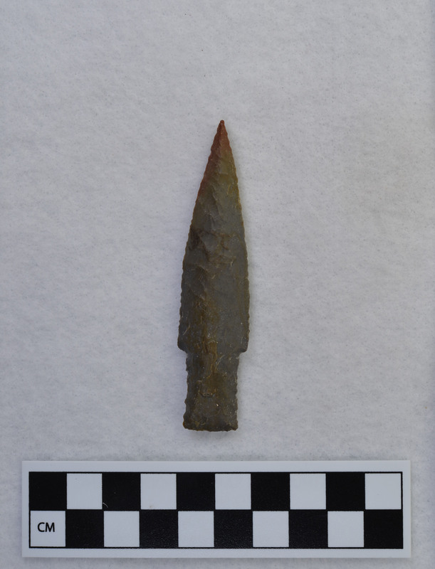 Stemmed, parallel flaked to midline