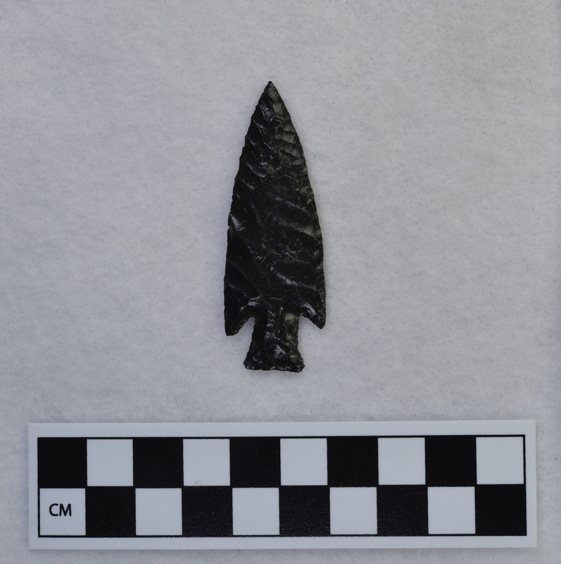 Stemmed, parallel diagonally flaked