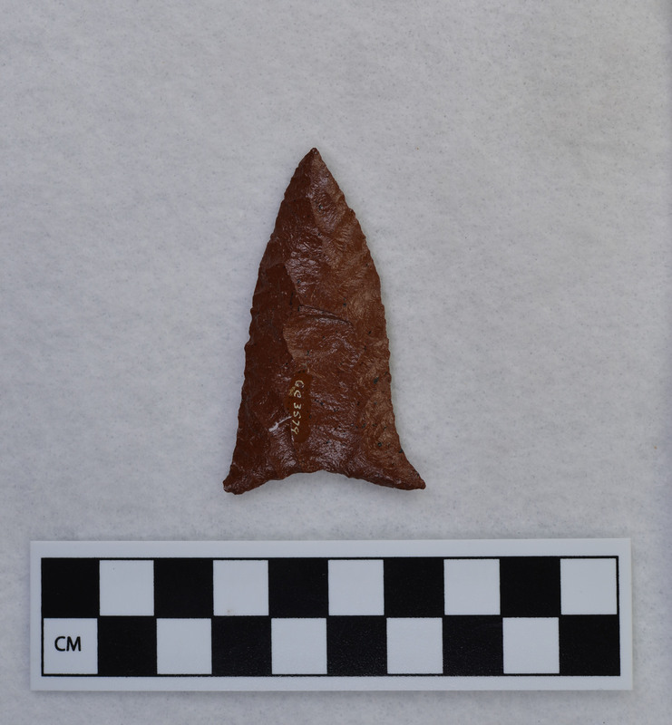 Triangular, flared ears, pressure basally thinned