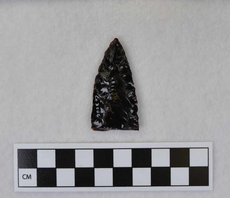 Fluted, distal section, Cumberland? Probably fluted with crutch and vise. (GT)