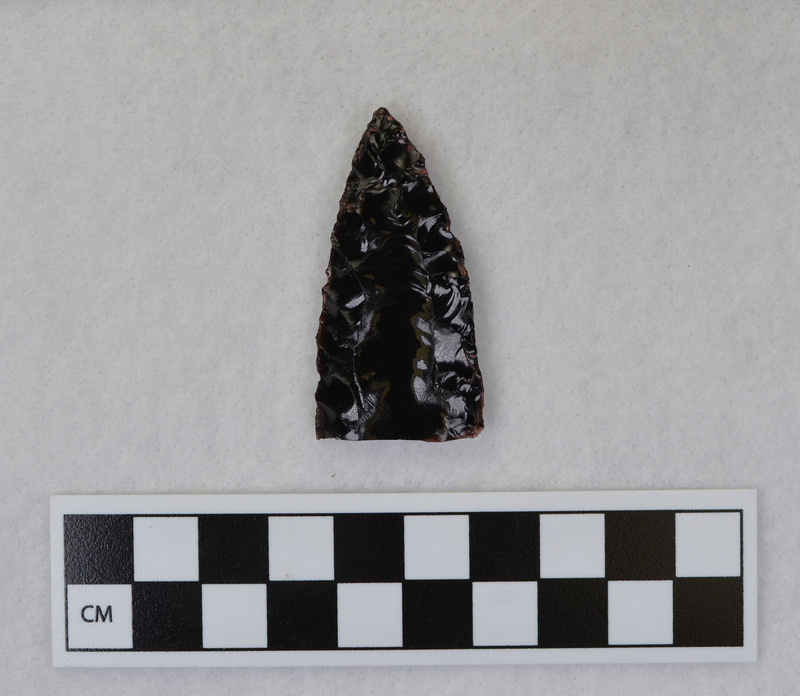 Fluted, distal section, Cumberland? Probably fluted with crutch and vise. (GT)