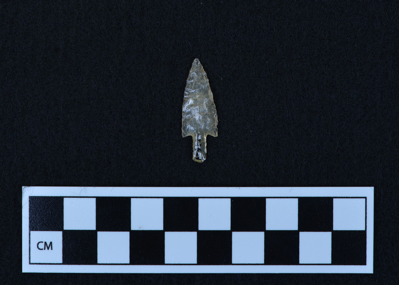 Stemmed, Material: chalcedony with rutile. (JW)