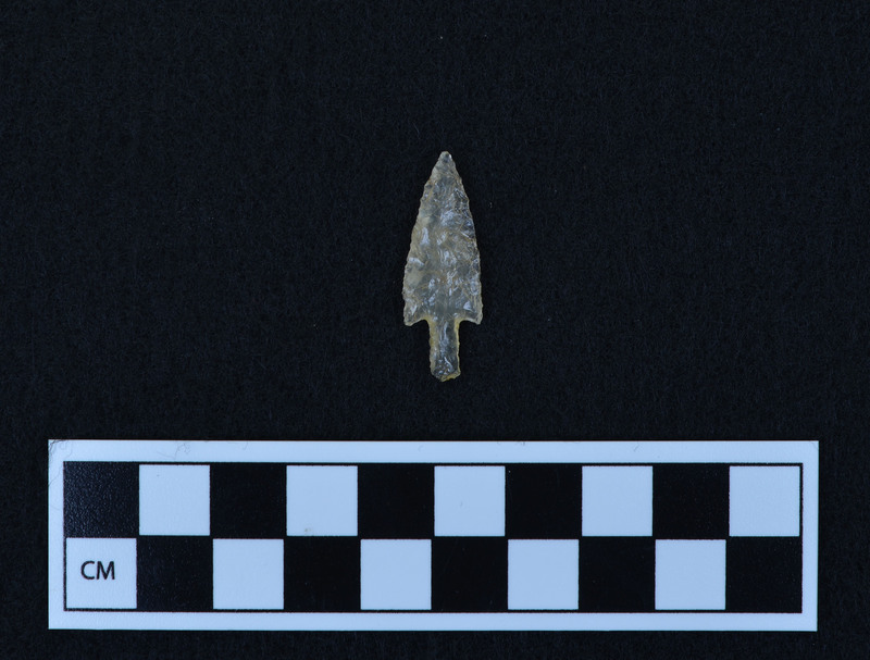 Stemmed, Material: chalcedony with rutile. (JW)