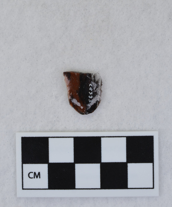 Channel, proximal fragment. Ce.3835 - Ce.3844 in one bag.Ce.3836 - Ce.3839: fragments of the channel flake from the labeled side, with point resting labeled side up, distal end pointing left. The flakes fit in numerical order, proximal to distal with their labels right side up.