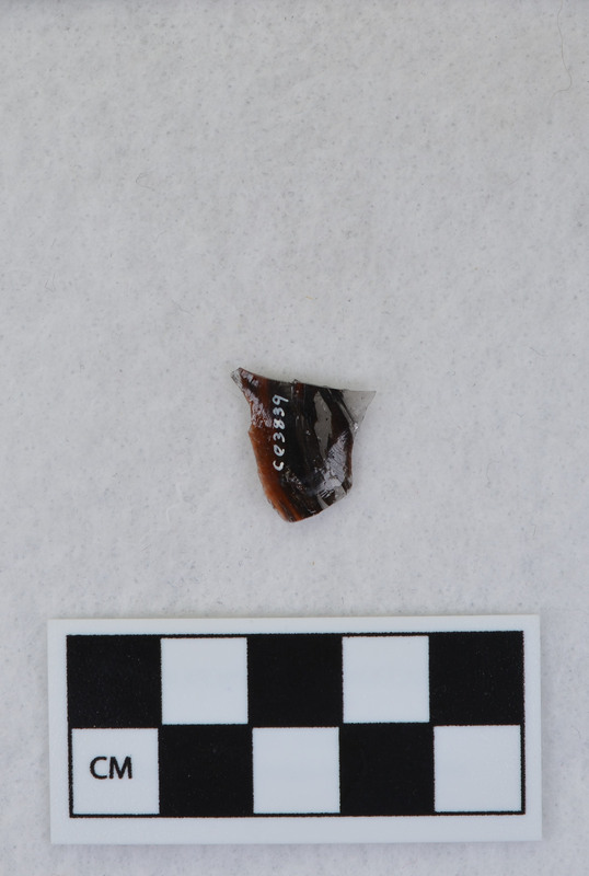 Channel, distal fragment, mends w/Ce.3836