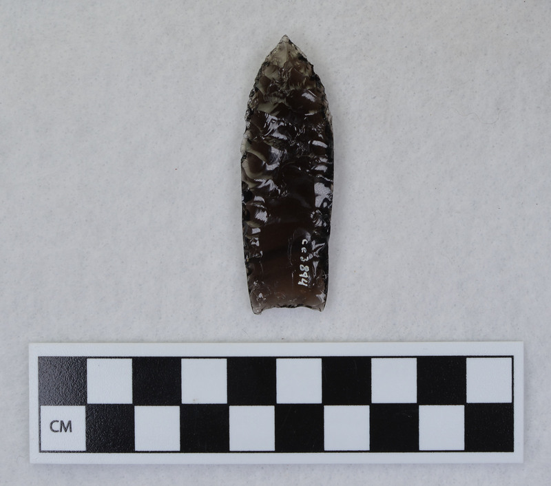 Fluted, ground basal margin