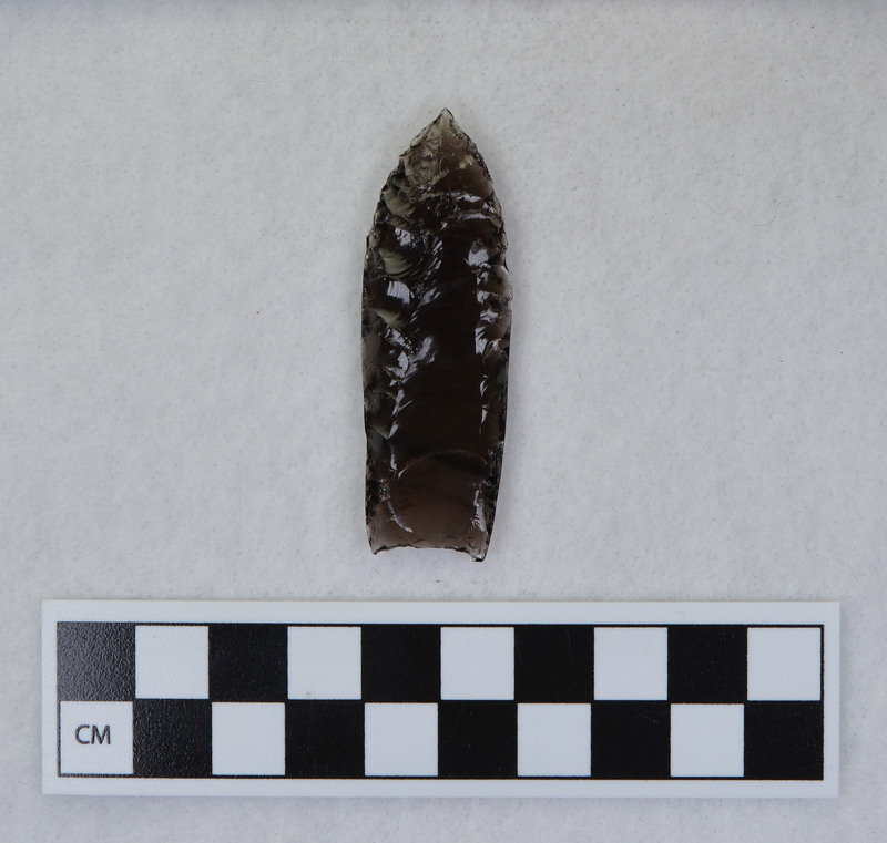 Fluted, ground basal margin