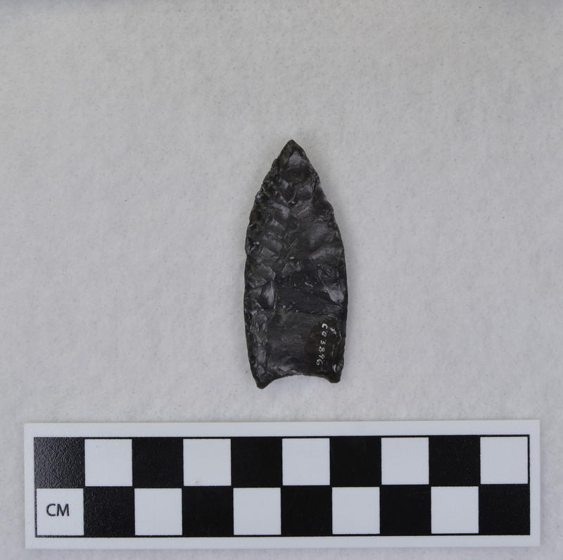 Fluted, ground basal margins