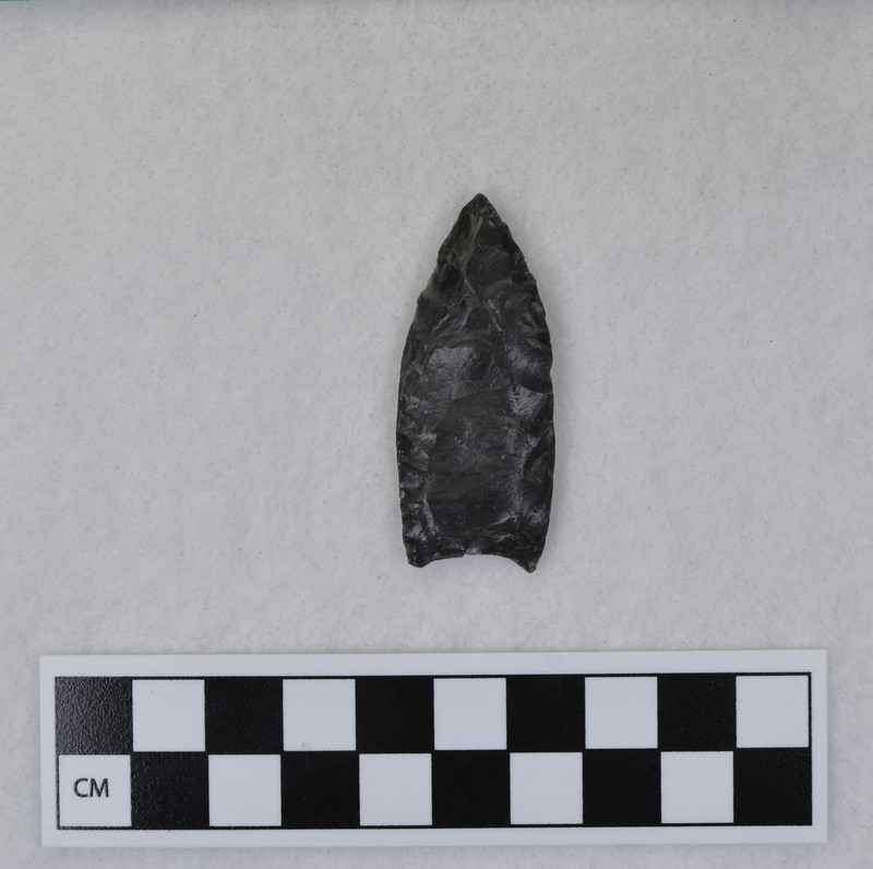 Fluted, ground basal margins