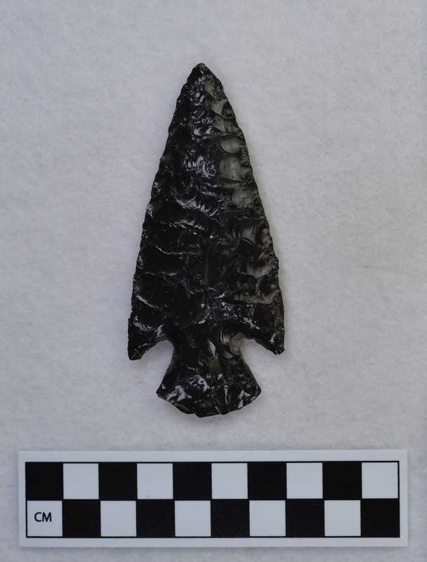 Serrated, triangular