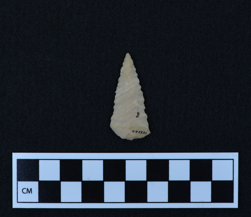 Triangular, serrated