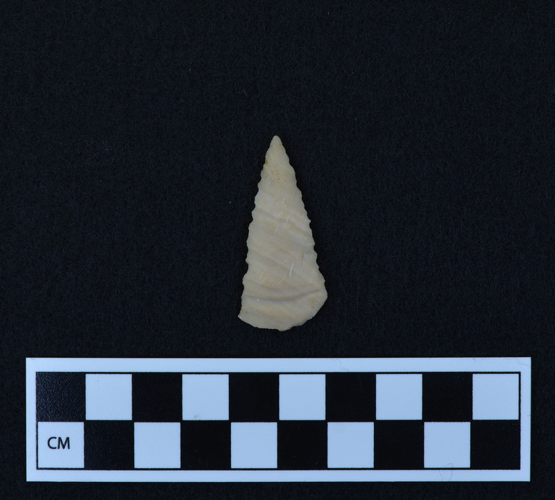 Triangular, serrated