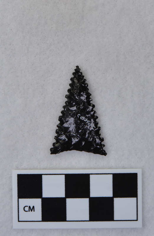 Fluted, ground basal margin