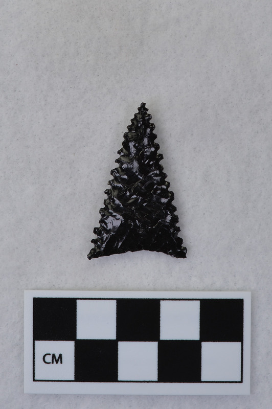 Fluted, ground basal margin