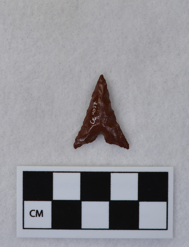 Indented base, associated w/Ce.4721 - Ce.4726. Glued to display board at one time. (JW)