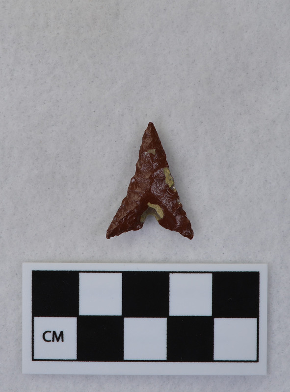 Indented base, associated w/Ce.4721 - Ce.4726. Glued to display board at one time. (JW)