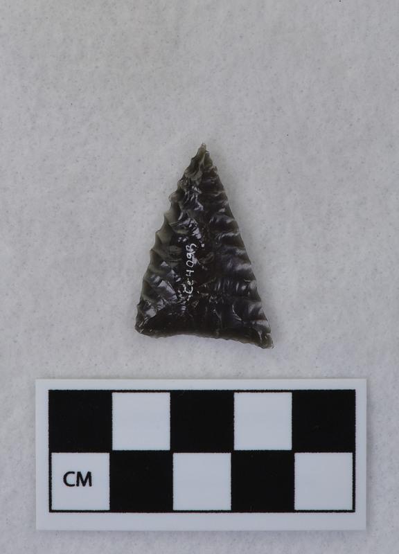 Small, triangular