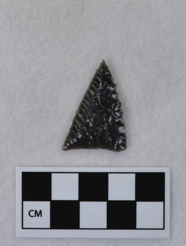 Small, triangular