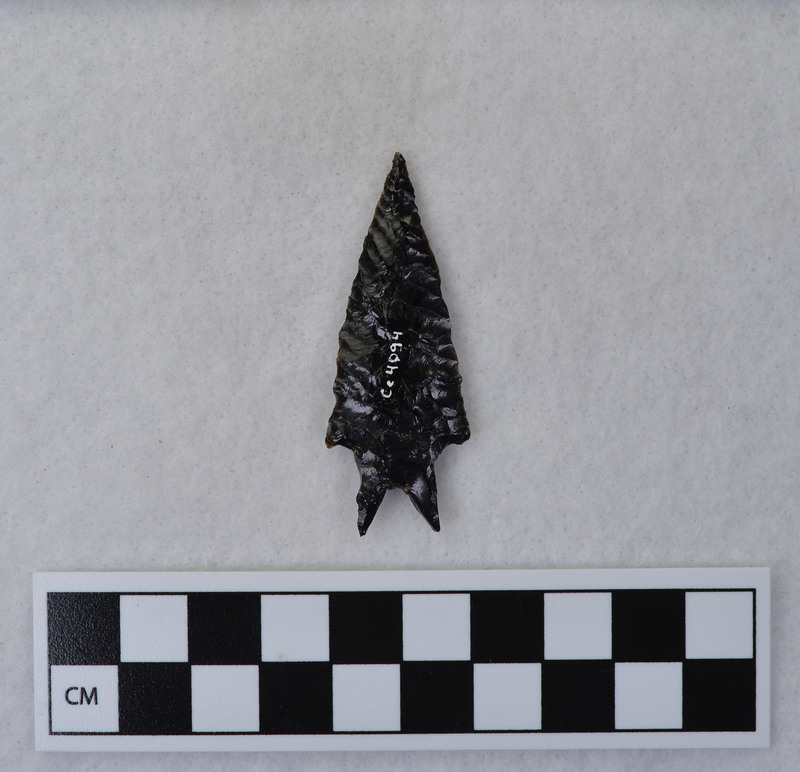 Bifurcated base w/stemmed base burinated