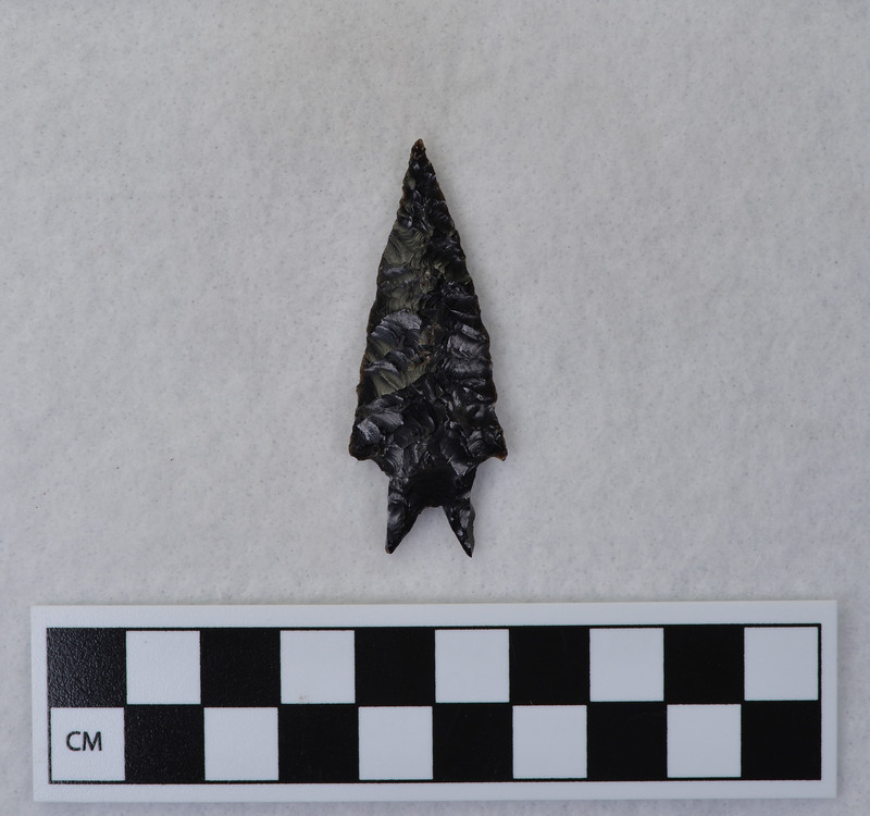 Bifurcated base w/stemmed base burinated