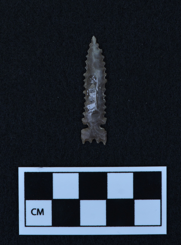 Serrated, side notched