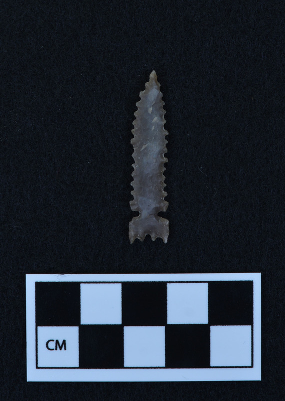 Serrated, side notched