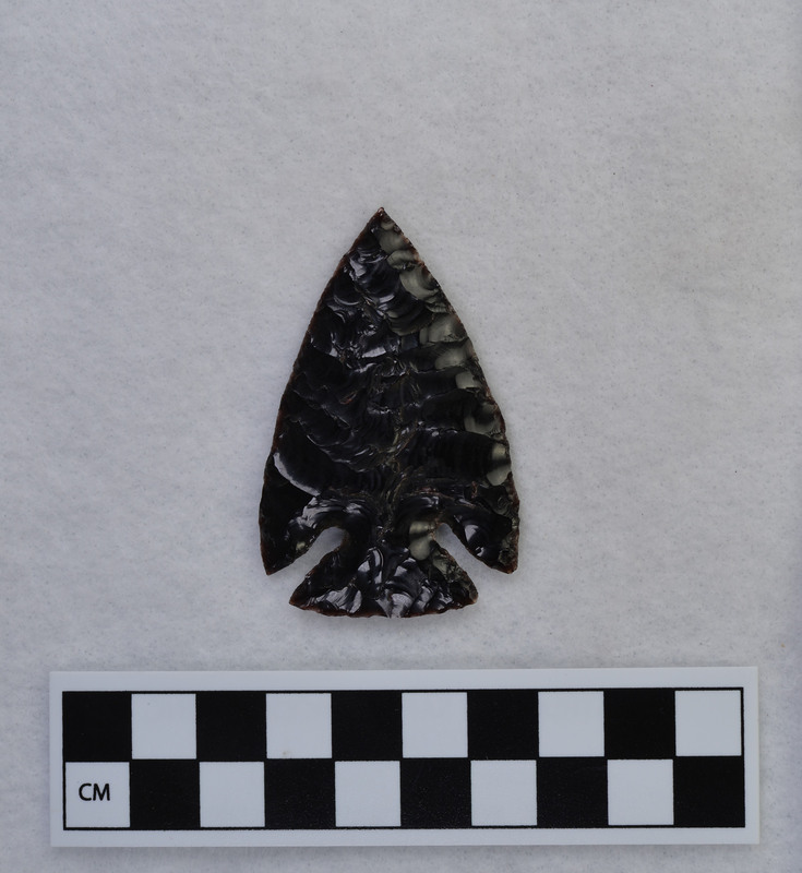 Large, corner notched