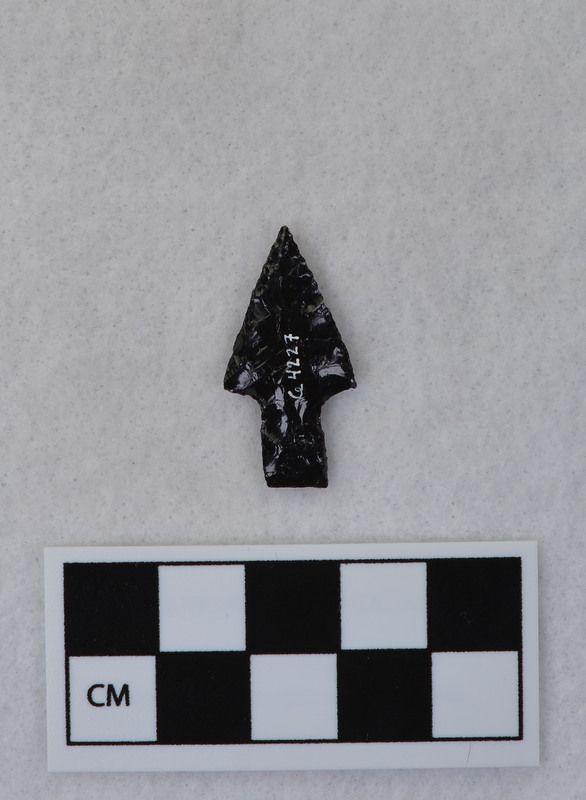 Stemmed Ce.4226 and Ce.4227 may be one and the same. Could not find a bag for Ce.4226, so cataloguer may have written the same description twice. (DJC)