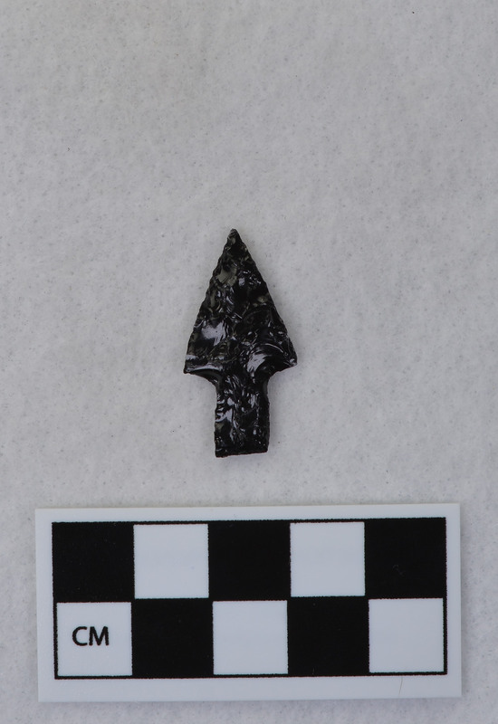 Stemmed Ce.4226 and Ce.4227 may be one and the same. Could not find a bag for Ce.4226, so cataloguer may have written the same description twice. (DJC)